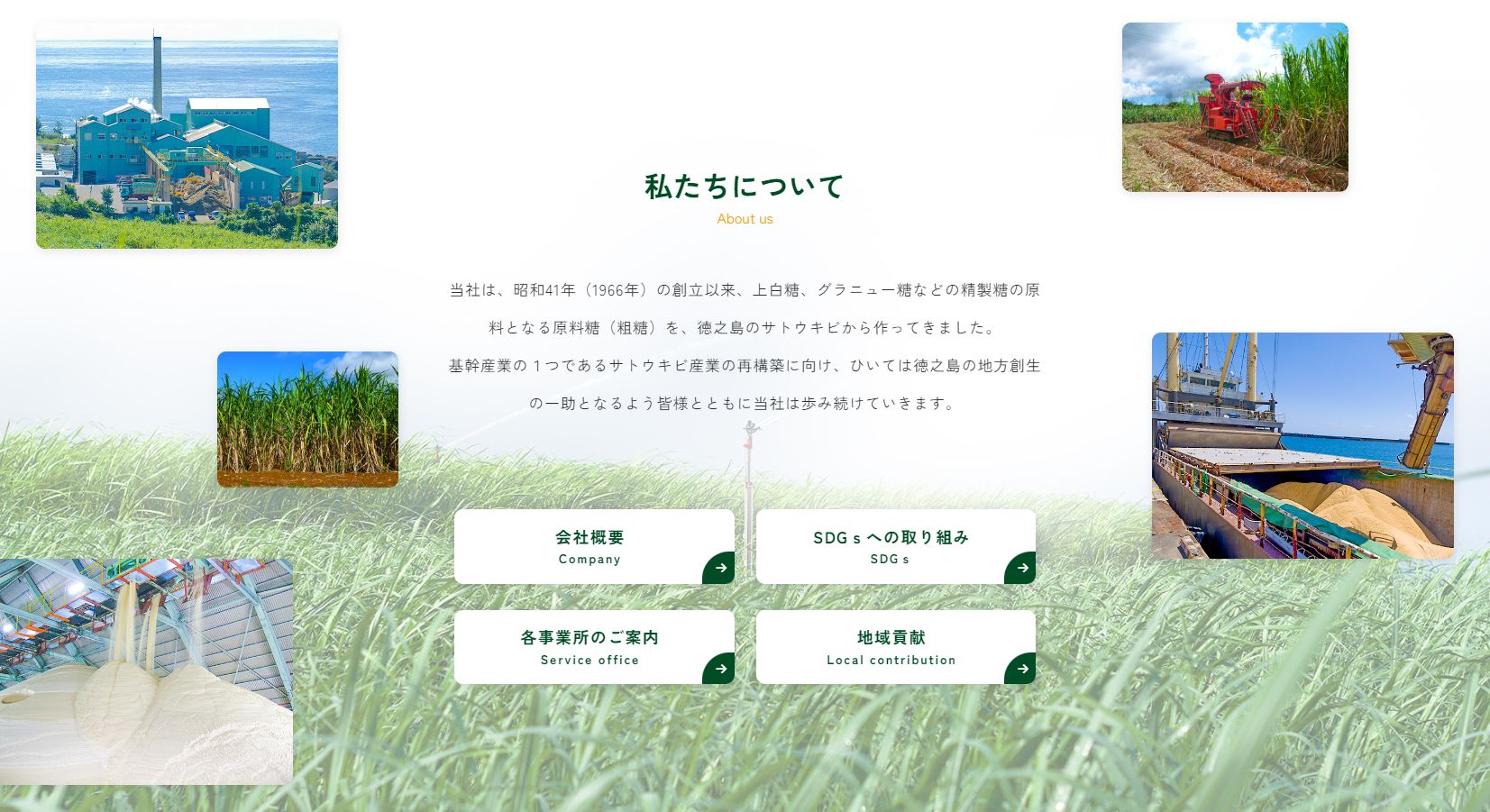 徳之島の広大な自然