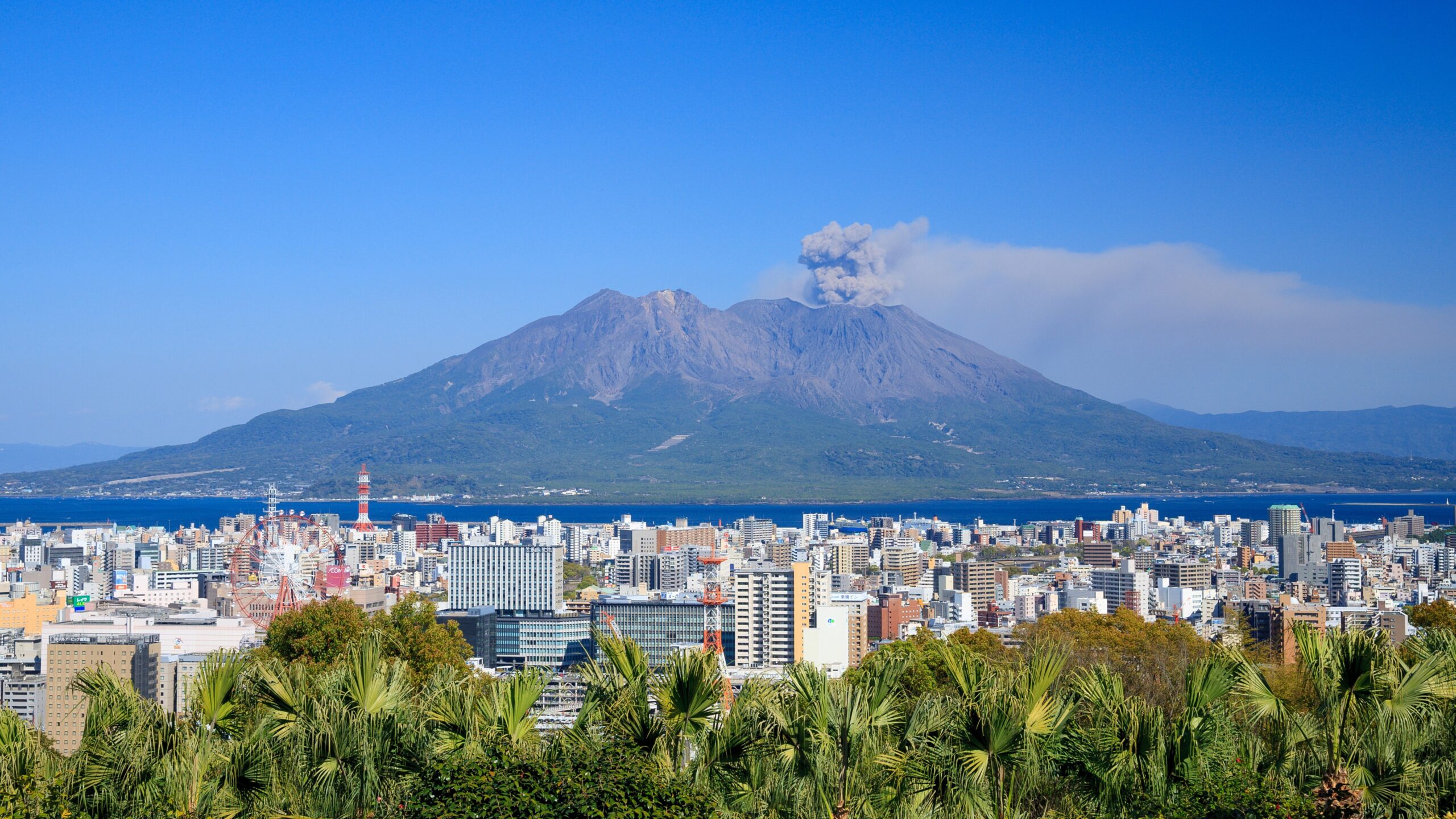 鹿児島を象徴する桜島とクラウド導入支援に取り組むIT企業フォーエバーの地域密着型支援イメージ